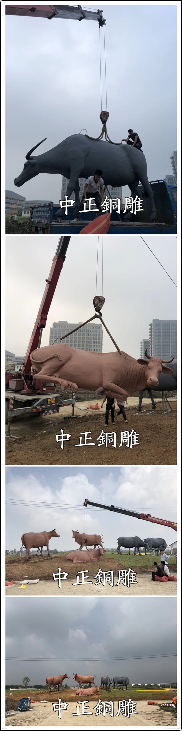 微信图片_20190403152752.jpg